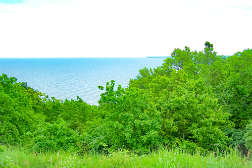 Sea view from a hill