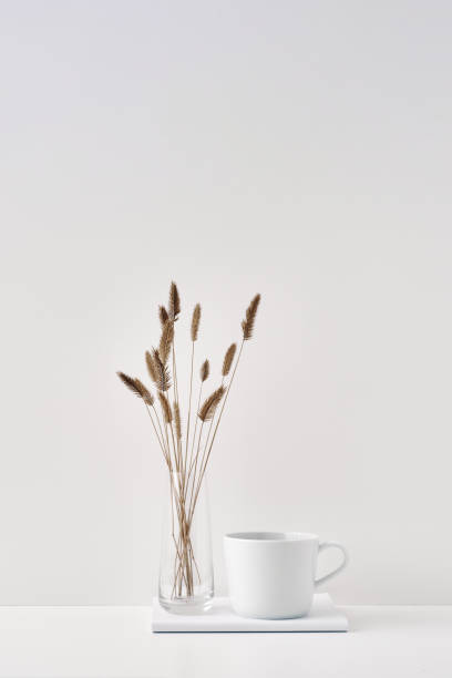 istock A transparent vase with dry branches, a book and a mug on a white background. Minimalism, eco-materials in the interior decor. Copy space, mock up. 1301492583
