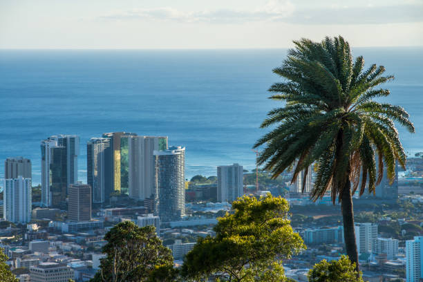 istock city, palm tree and sea 1301494766