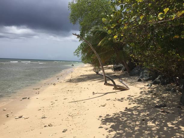 istock Trinidad and Tobago 1301502108