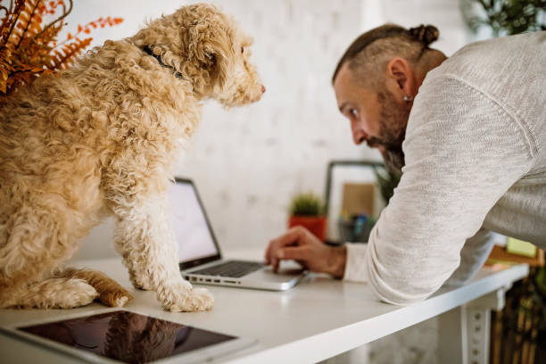 istock I'm enjoying to work with you 1301508479