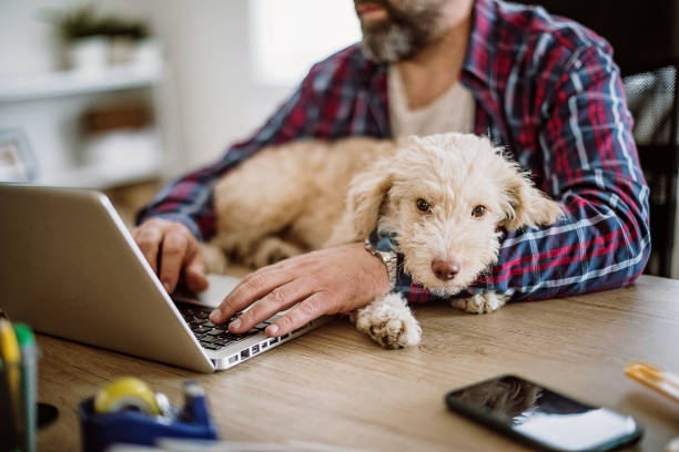 istock I'm enjoying to work with you 1301508662