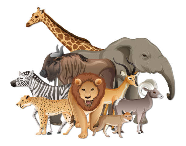 istock Group of wild African animals on white background 1301509537