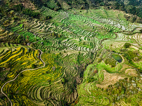 Landscape of mountain villages and terraced fields in Wuyuan county, Jiangxi province, China.