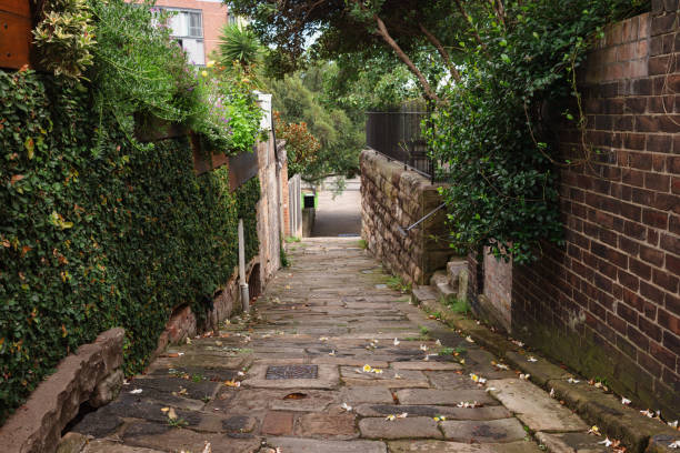 Short alley with vines and old paving stones.