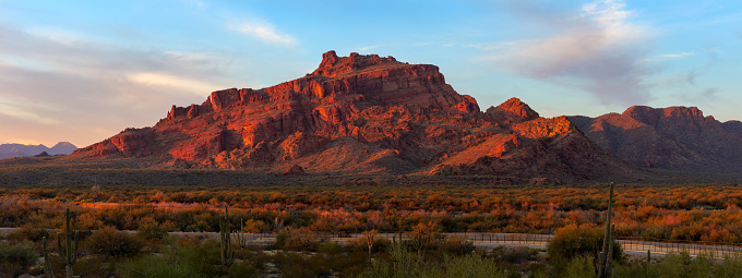 Scenic desert landscape with Saguaro Cactus and dramatic sunlight on Red Mountain at sunset in Mesa, Arizona.