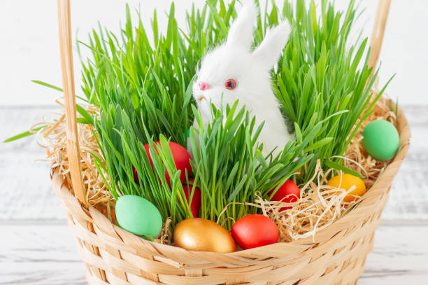 Easter basket with green grass filled with brightly colored Easter eggs and White little bunny. Happy Easter.