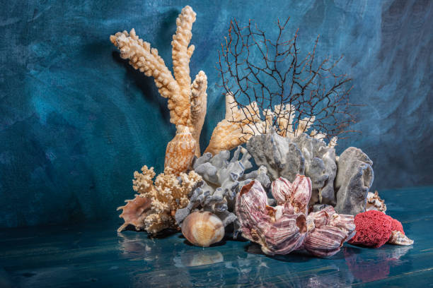 istock Corals and sea shells on a sea colours background. Still life. 1301520607