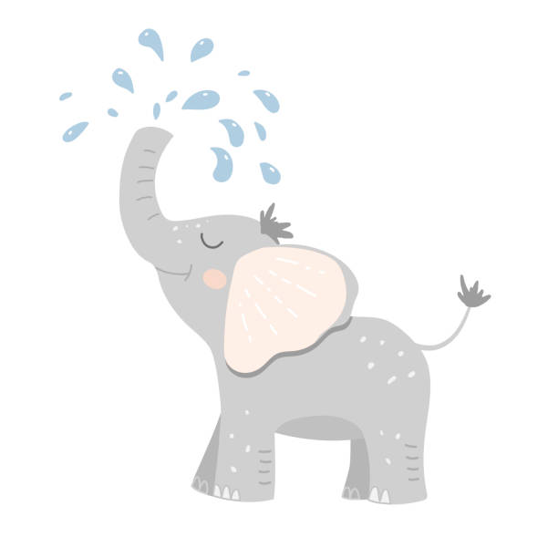 illustrazioni stock, clip art, cartoni animati e icone di tendenza di ragnatela - elefante immagine