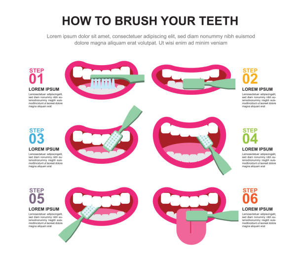 как чистить зубы инструкции. векторный дизайн - brushing teeth stock illustrations