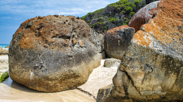 istock Squeaky Beach, Leonard Bay, Wilsons Prom National Park 1301529211