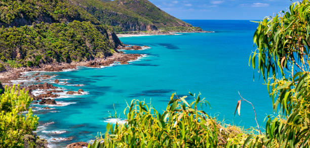 istock Angahook-Lorne State Park along the Great Ocean Road, Australia 1301529403