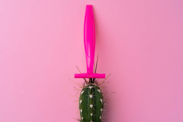istock Spiny cactus and disposable shaver on pink background 1301529632
