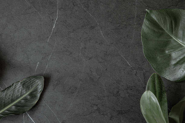 istock Large natural tropical leaves on marble surface top view. 1301537067