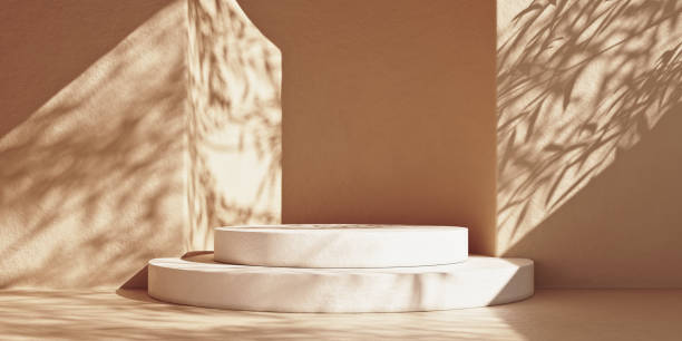 istock Stone podium and leaf shadows for product display 1301544041