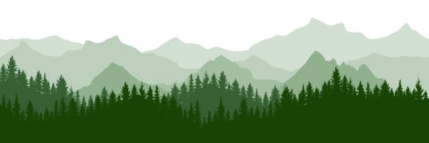 ilustraciones, imágenes clip art, dibujos animados e iconos de stock de bosque verde sobre fondo de montañas, silueta. hermoso paisaje.  arboles de coníferas perennes. ilustración vectorial. - montaña