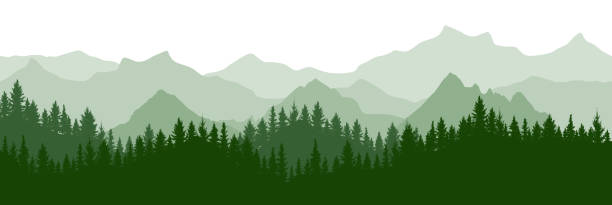 ilustrações de stock, clip art, desenhos animados e ícones de green forest on background of mountains, silhouette. beautiful landscape.  evergreen coniferous trees. vector illustration. - mountain mountains