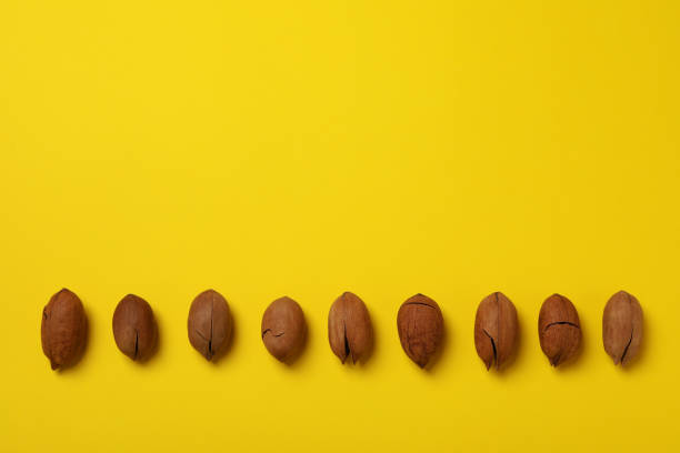 istock Tasty pecan nuts on yellow background, space for text and top view 1301547387