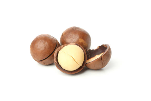 istock Tasty macadamia nuts isolated on white background 1301547620