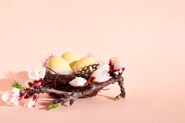 istock Stylish easter eggs with spring sprigs and feathers in the nest on light pink pastel background. Happy Easter. Greeting card template. Space for text. 1301547733