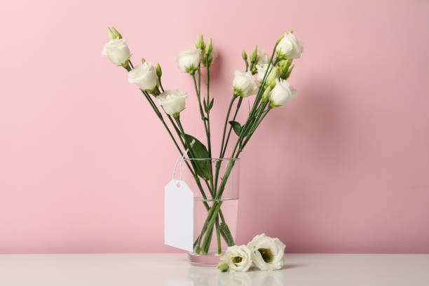 istock Vase with roses and blank tag against pink background 1301548537
