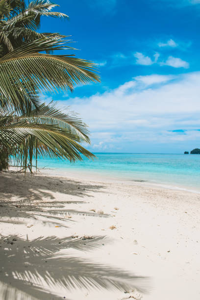 istock Tropical beach in Indonesia 1301554628