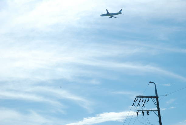 istock Jeju Island Scenery 1301554725