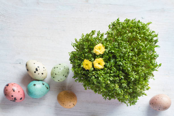 Easter heart-shaped watercress with colorful easter eggs. Easter background concept abstract