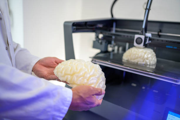 Male biomedical engineer holding human brain model Male biomedical engineer holding human brain model and comparing it to one that is being printed. 3d printing hand stock pictures, royalty-free photos & images