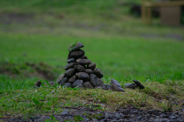 Mountain of pebbles on a bed of grass