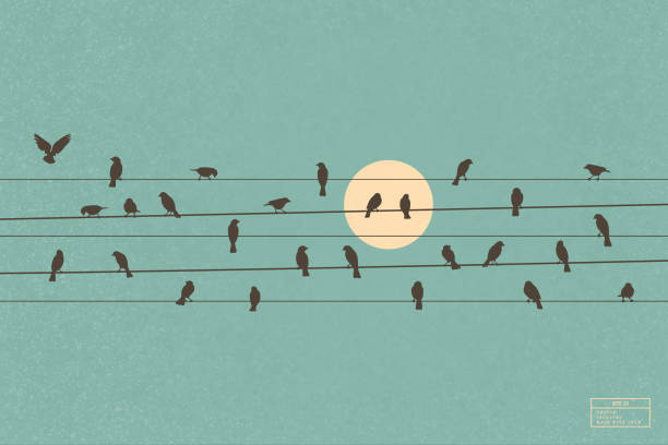 Birds on wires Flock of crows on power lines. Isolated silhouette telephone line stock illustrations