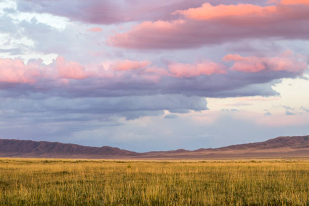istock Amazing sunset sky with clouds under the steppe, Kazakhstan, Kegen 1301569475