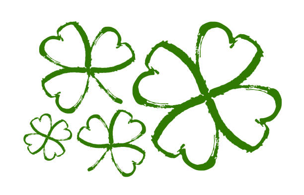 ilustrações, clipart, desenhos animados e ícones de conjunto de shamrocks pincel desenhado à mão no fundo branco. trevo de linha de esboço. - spring clover leaf shape clover sketch