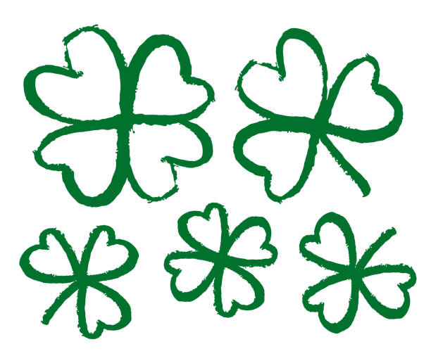 ilustrações, clipart, desenhos animados e ícones de trevo de linha de esboço. shamrocks de pincel desenhados à mão no fundo branco. - spring clover leaf shape clover sketch