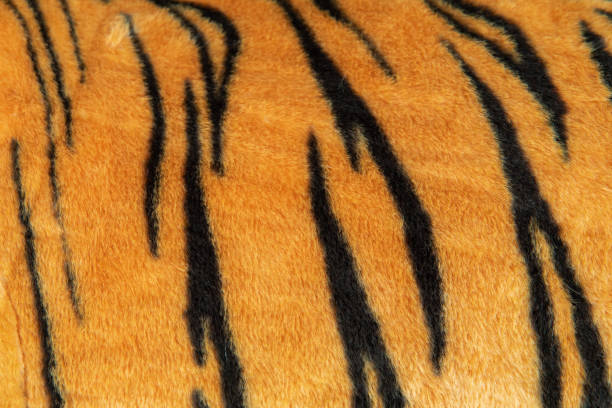 Tiger textured polar or fleecy blanket