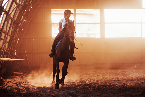 Majestic image of horse silhouette with rider on sunset background. The girl jockey on the back of a stallion rides in a hangar on a farm.