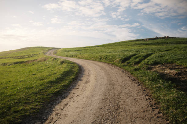 istock Winding road on green grass hills at sunset 1301576663