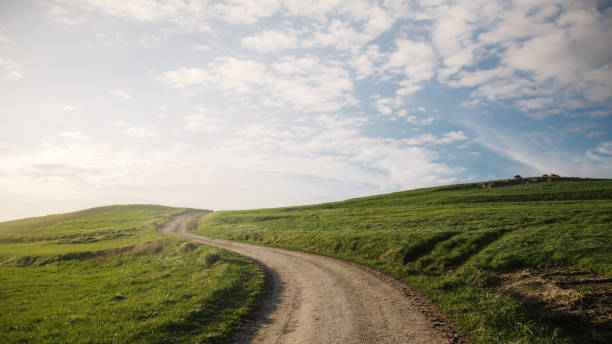 istock Winding road on green grass hills at sunset 1301576971