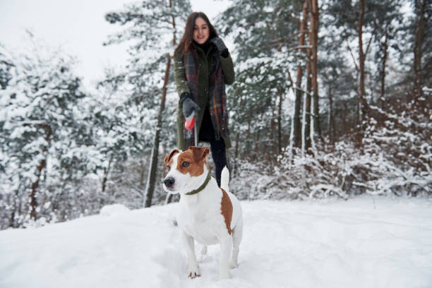 istock Looking to the side far away. Smiling brunette having fun while walking with her dog in the winter park 1301579577