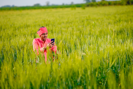 Young indian farmer using smartphone at wheat field