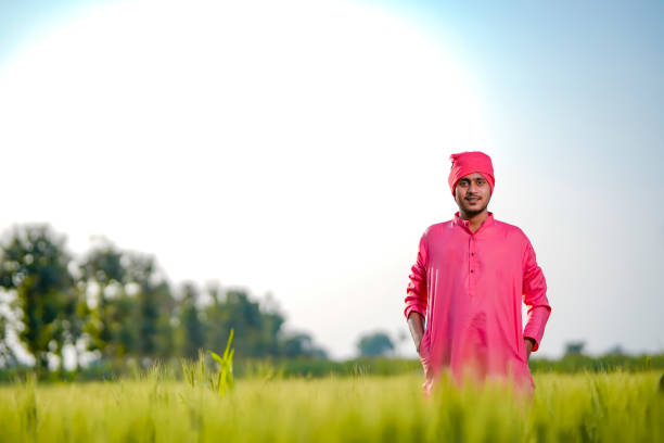 istock Young indian farmer standing his wheat field and giving happy expression 1301580698