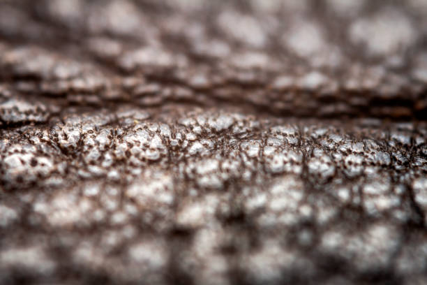 istock Extreme closeup of a leather 1301583137
