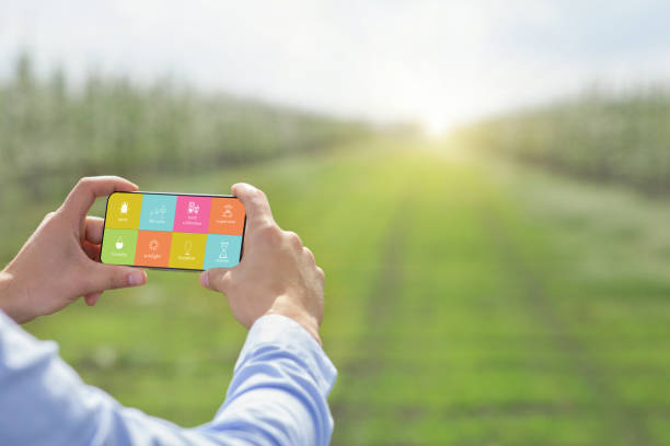 istock Agronomist growing organic plants, using mobile phone to control harvest cultivation parameters outdoors. Smart garden 1301585251