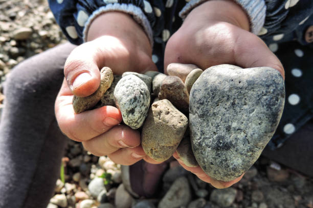 istock rounded stones cobblestones in a handful of palms 1301587410