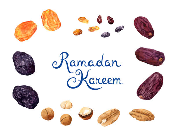 illustrations, cliparts, dessins animés et icônes de ensemble de fruits secs pour l’iftar pendant le ramadan. dattes fruits, raisins secs, pruneaux, abricot, noix et texte « ramadan kareem ». collection aquarelle - abricot sec
