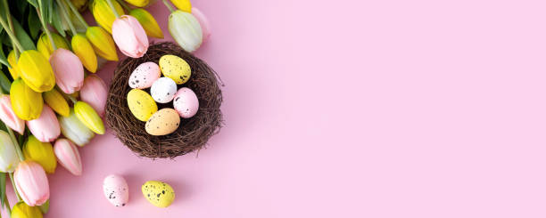 istock Colorful easter quail eggs in nest and tulips on pink background with . Flat lay. Spring composition. Happy easter greeting card. Copy space 1301590635