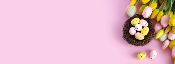 istock Colorful easter quail eggs in nest and tulips on pink background with . Flat lay. Spring composition. Happy easter greeting card. Copy space 1301590663