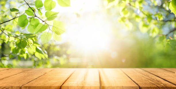 primavera hermoso fondo con verde jugoso follaje joven y mesa de madera vacía en la naturaleza al aire libre. - paisaje no urbano fotos fotografías e imágenes de stock