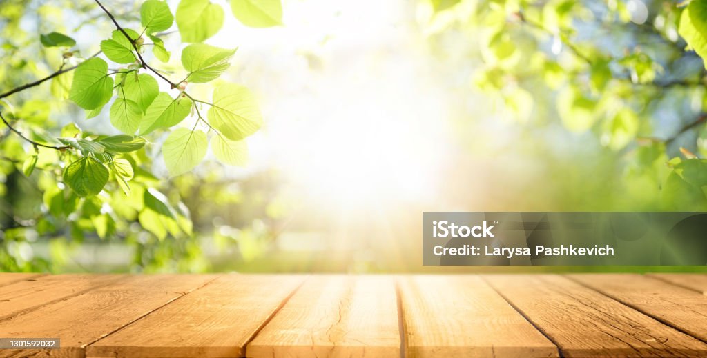 Spring beautiful background with green juicy young foliage and empty wooden table in nature outdoor. Spring beautiful background with green juicy young foliage and empty wooden table in nature outdoor. Natural template with Beauty bokeh and sunlight. Backgrounds Stock Photo