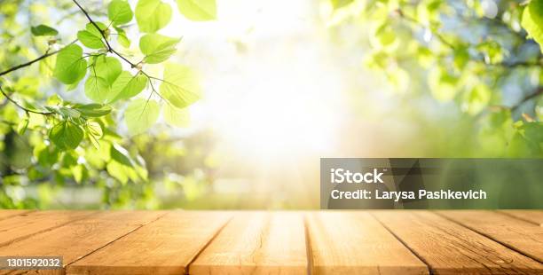 Spring Beautiful Background With Green Juicy Young Foliage And Empty Wooden Table In Nature Outdoor Stock Photo - Download Image Now